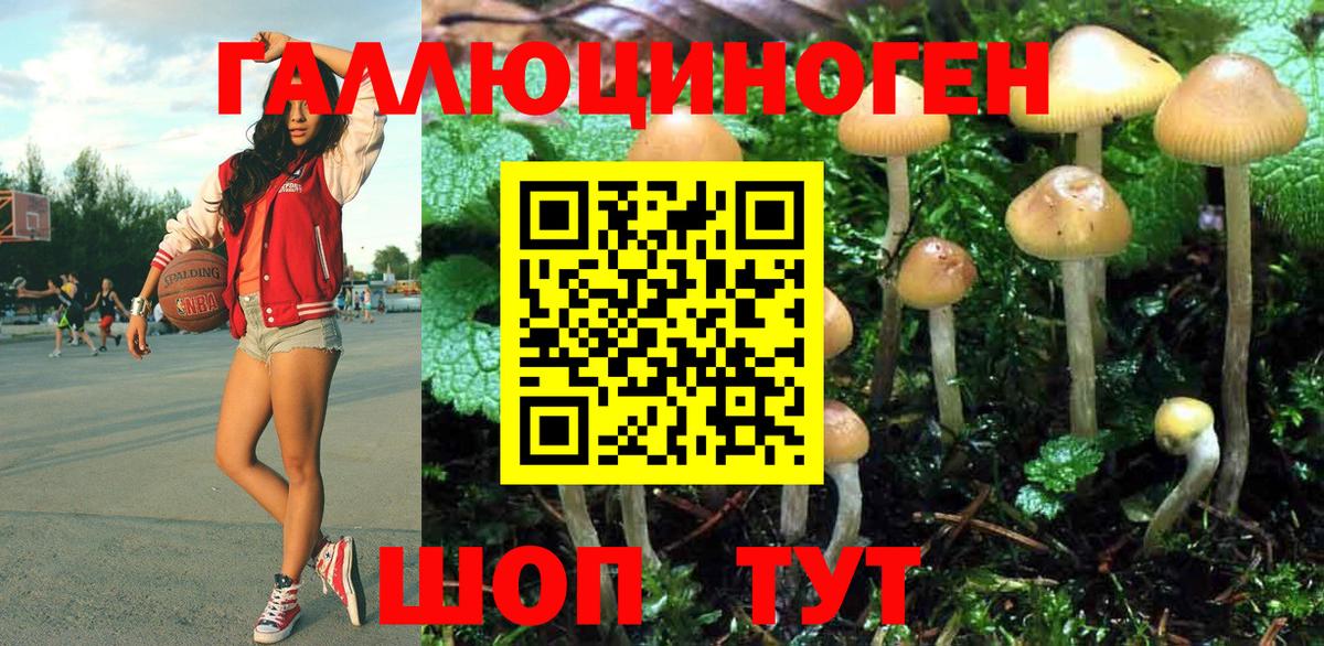 Галлюциногенные грибы MAGIC MUSHROOMS Дзержинский