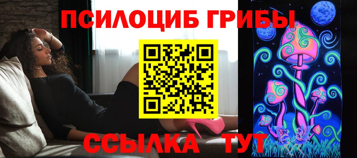 Дзержинский  Галлюциногенные грибы Cubensis  Вход с VPN 